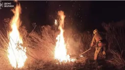 За добу на Волині вигоріло майже 6 гектарів сухої рослинності (фото)