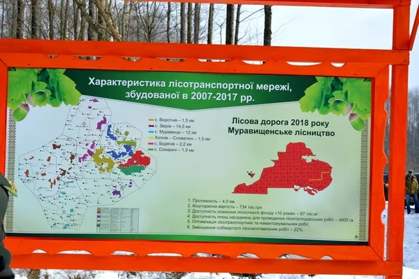 Лісоповал по-волинськи: лісівники показали особливості роботи (фото)