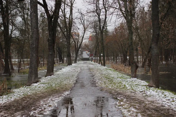 Підтоплені дерева та відчайдушні бігуни: ранок у луцькому парку (фото)