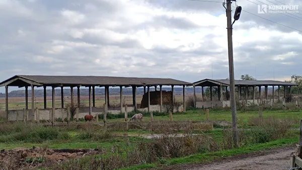 Тут для худоби уже заготовили сіно на зиму