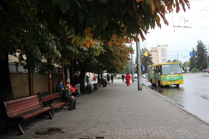 Підтоплені двори і опале листя: наслідки грози у Луцьку (фото)