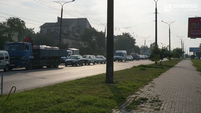 Квіти, песики, каштани: Дубнівська у Луцьку восени (фото)