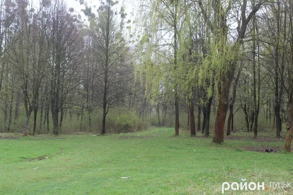 Ботанічний сад на Волині може стати ще кращим