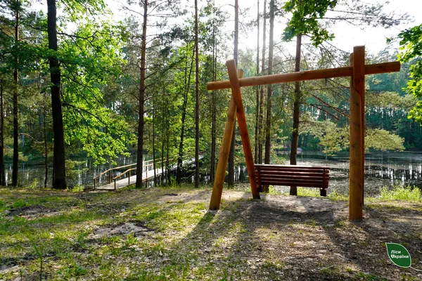 Озеро-кит посеред лісу: де ховається справжнє природне диво (фото)