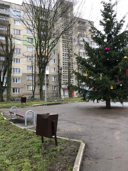 Зі скандальної ялинки у Нововолинську зняли повішених зайців (фото)