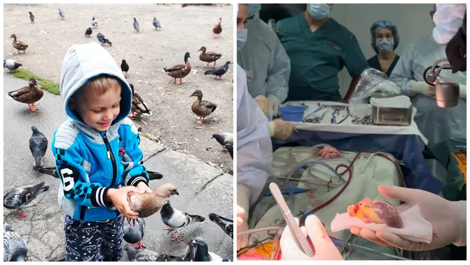 Мама чотирирічного хлопчика-донора розповіла їхню історію