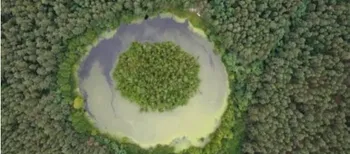 Серед лісу – чорна вода: у Карпатах ховається загадкове озеро, яке не має дна (фото)