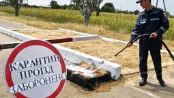 "То нам Божа кара", – житель волинського села про африканську чуму (відео)