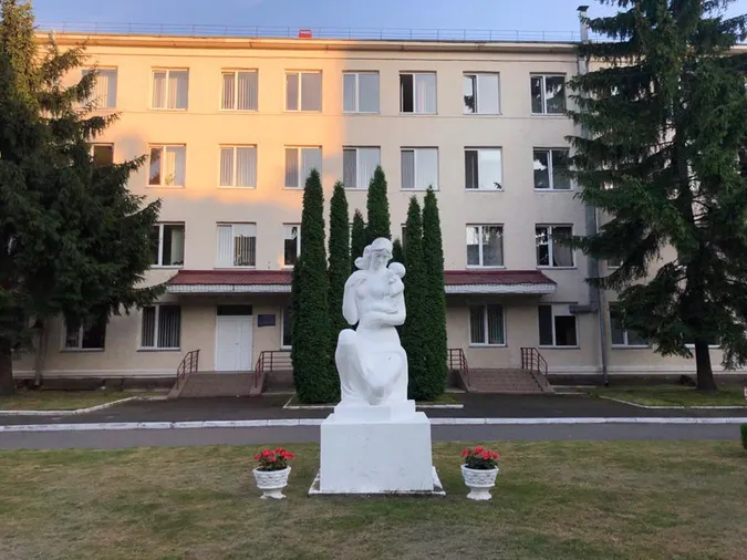 До пологового з патрульними: у Луцьку жінка народила дитину в автівці (відео)