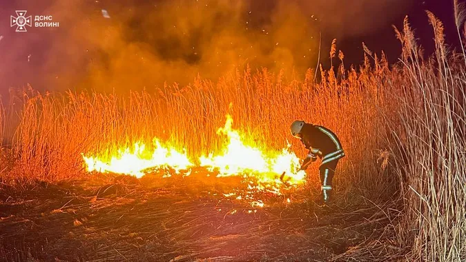 Суха трава, очерет і два торфовища: на Волині спалахнули 8 пожеж (фото)