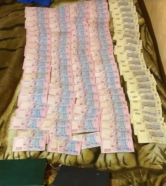 Волинські правоохоронці виявили незаконний деревообробний цех (фото, відео)