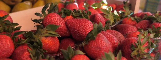 Сезон відкрито: скільки коштує полуниця на ринках Луцька (відео)