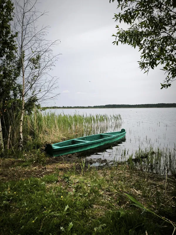 Де на Волині причаїлося мальовниче озеро казкової краси (фото)