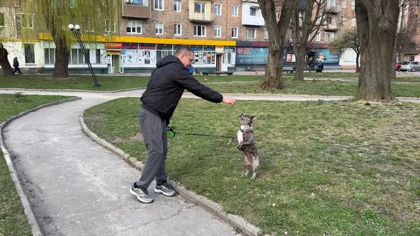 Усе почалося з любові до власного пса: як ветеран із Волині виготовляє корми для собак і котів (фото, відео)