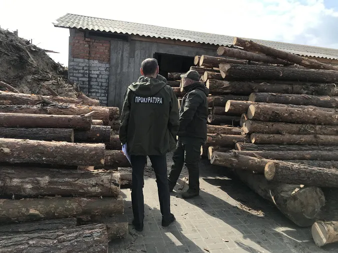 На Волині арештували понад 600 кубів незаконної деревини (фото, відео)