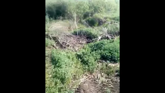 Росія тоне у фекаліях: у Челябінську заливають ліс гівном (відео)