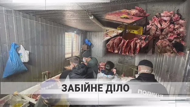 На бійні худоби неподалік Луцька працювали слідчі: що відомо (відео)