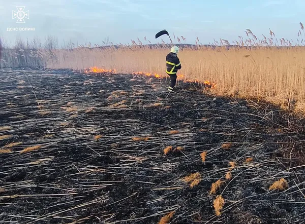 Горіли поля, очерет і торф: Волинь накрила хвиля масштабних пожеж (фото)