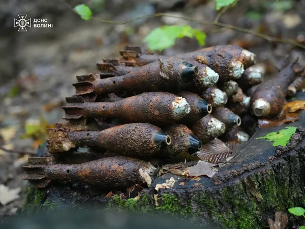На Волині сапери знешкодили вибухівку часів Другої світової війни (фото, відео)