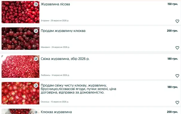 Волинське «червоне золото»: скільки коштує літр журавлини