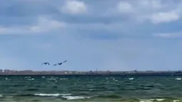 Світязь заштормило (відео)