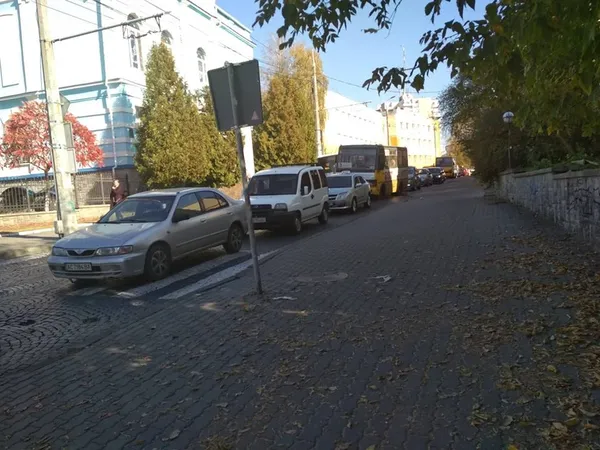 У центрі Луцька зупинилися тролейбуси (фото, відео)