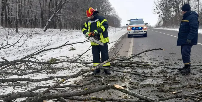 На автодорогу Луцьк – Устилуг впало дерево й ускладнило рух транспорту (фото)