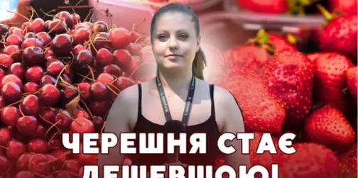 Ягоди дешевшають: які ціни на полуницю та черешню на луцькому ринку (відео)