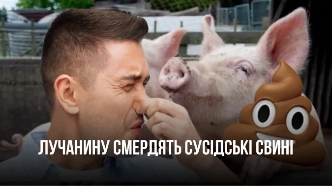 Лучанину смердять сусідські свині (відео)