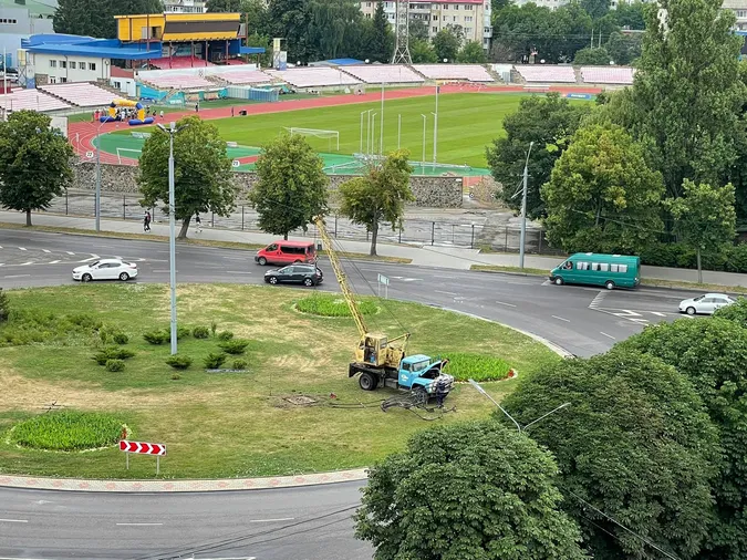 У Луцьку біля історичного факультету прибрали коване дерево (фото, відео)
