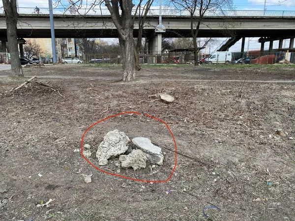 Лучани просять вивезти органічне сміття під шляхопроводом (фото)