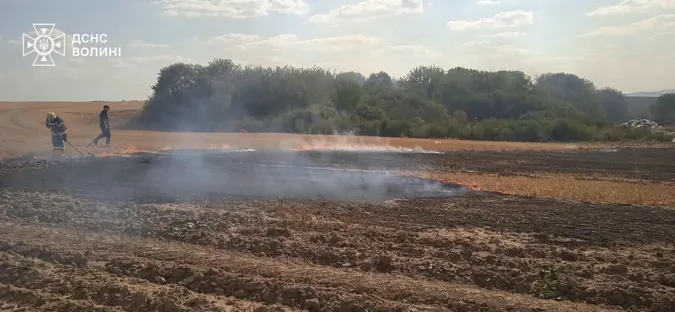 Майже 4 гектари у вогні: на Волині палали сухостій і торфяник (фото)