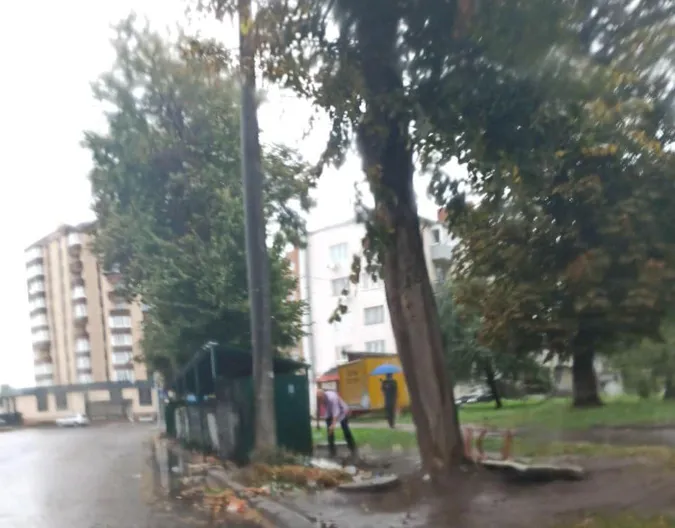 Муніципали зловили лучанина, який викидав сміття під контейнер (фото)