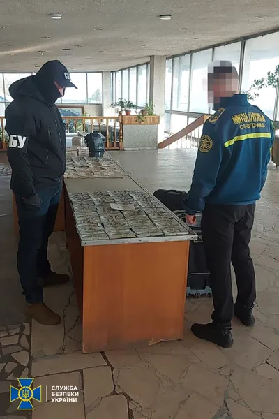 У валізах і на тілі: в Україну намагалися завезти готівку на 37 млн грн (фото)