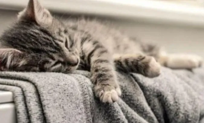 Фото ілюстративне