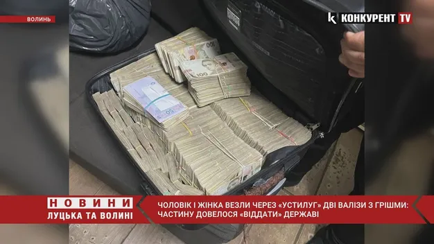 Гроші – валізами: через «Устилуг» намагалися провезти понад два мільйони гривень (фото, відео)