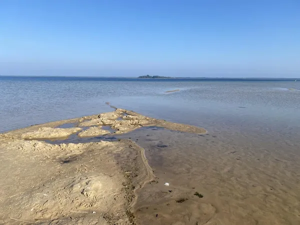 Вода відступила на 70 метрів: показали, яким став Світязь (фото)