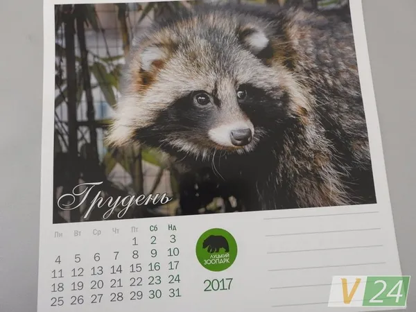 «Луцький зоопарк» видав календар зі світлинами своїх мешканців (фото)