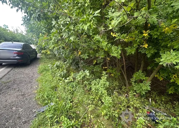 Смертельна ДТП у Луцькому районі: водій Audi збив 66-річну велосипедистку (фото)