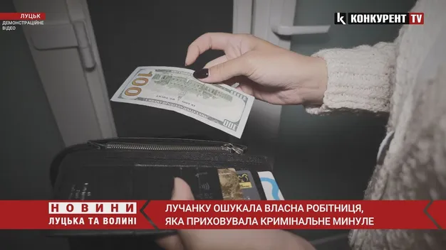 Закривалась в туалеті і крала гроші: у Луцьку жінку ошукала власна робітниця з кримінальним минулим  (відео)