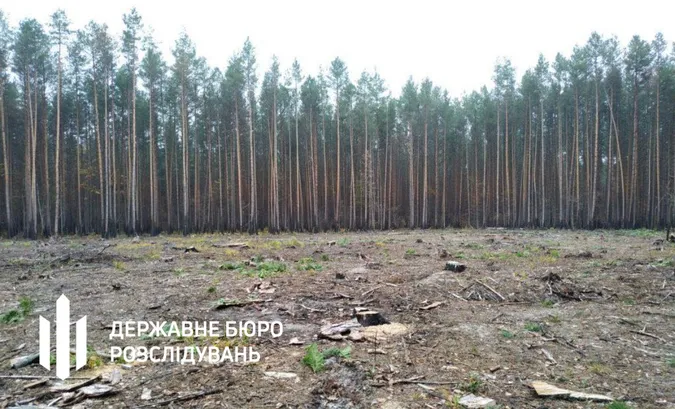 Посадовці лісової галузі Волині дозволили незаконні рубки на 21 млн грн – їх судитимуть