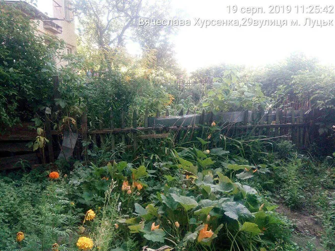 У Луцьку демонтували незаконні огорожі (фото)