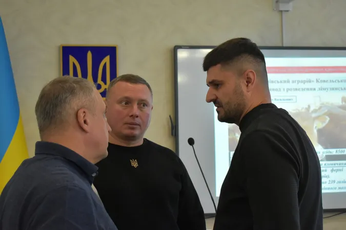 Волинь є лідером в державі за кількістю поголів’я великої рогатої худоби