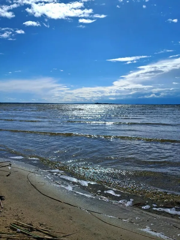Світязь вразив незвичним видовищем: вода в озері стала схожою на рідке срібло (фото)