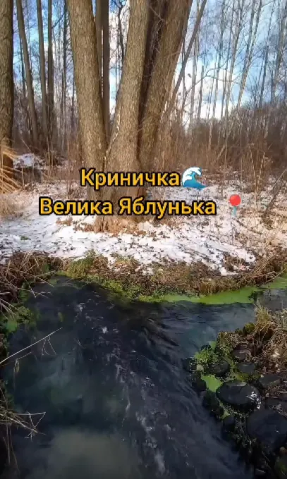 Стирчать труби і не бурлить вода: на Волині зникли унікальні Оконські джерела (фото, відео)
