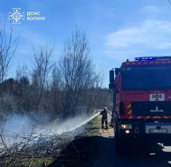 «Тільки сонце блиснуло!»: на Волині палії знов взялися за своє (фото)