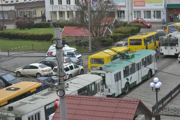 У центрі Луцька зупинилися тролейбуси (фото)