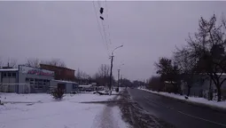 У Луцьку два роки обрізки дерев висять на електродротах (фото)