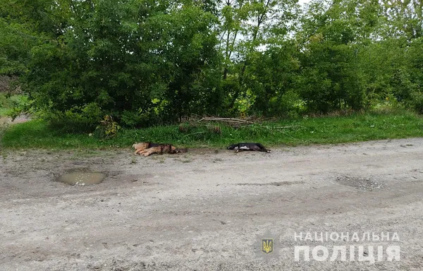 Головне у Луцьку: ТОП новин п'ятниці, 3 вересня