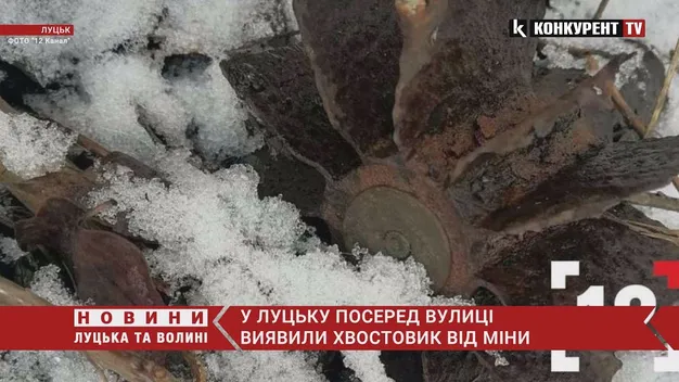 Іржавий хвостовик: у Луцьку на пеньку знайшли частину міни (фото, відео)